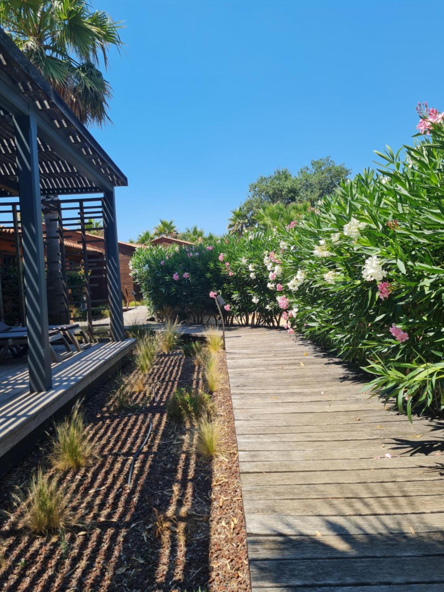 Residence Saint Pierre Grimaud Dış mekan fotoğraf