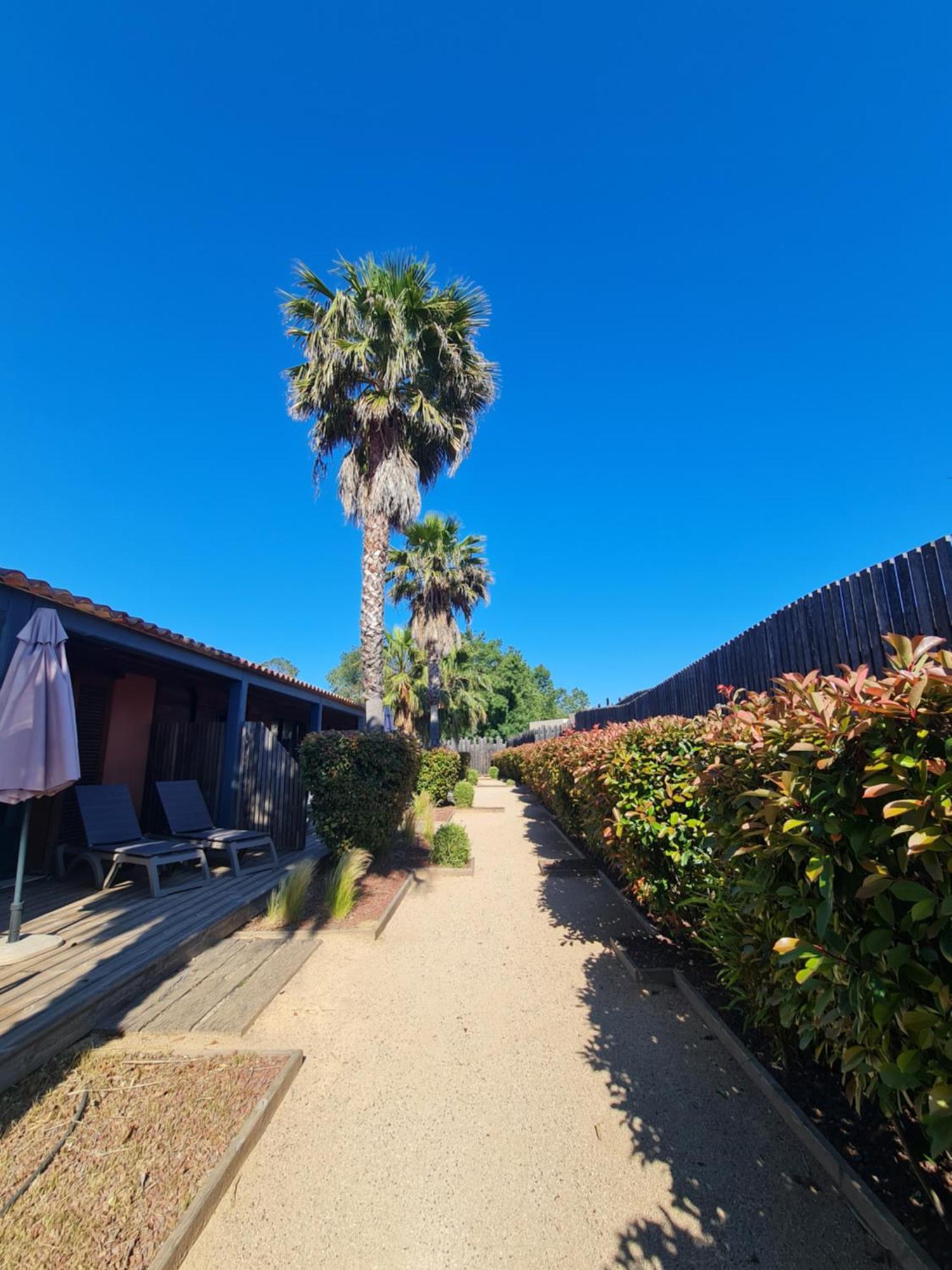 Residence Saint Pierre Grimaud Dış mekan fotoğraf